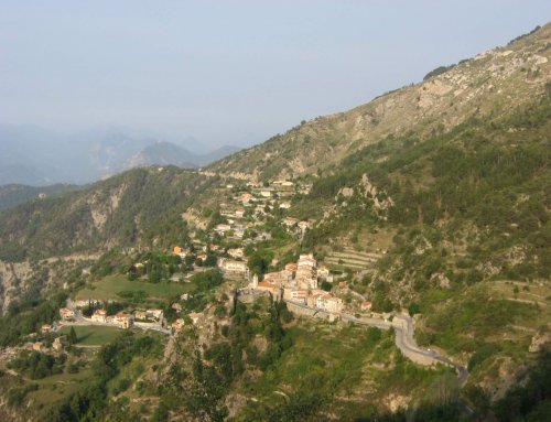 Périmètre et organisation de la REAAM