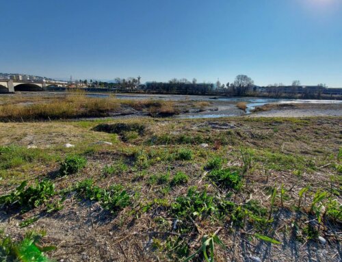 2022 – Travaux d’entretien de l’embouchure du fleuve Var