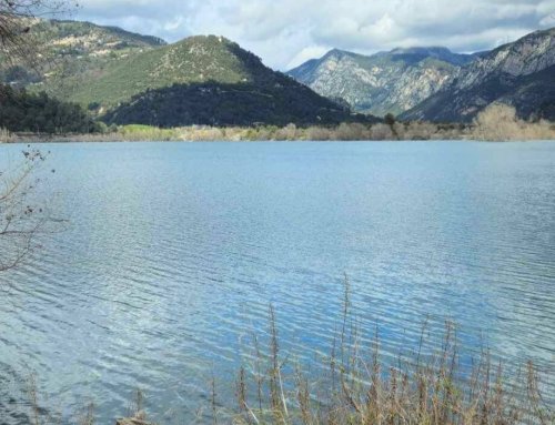 Où en sont les niveaux d’eau sur notre territoire maralpin ?