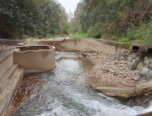 Effacement de l’ancienne piscine de la Frayère, à Auribeau-sur-Siagne