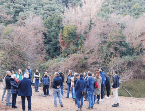 Assemblée plénière du RRGMA à Pégomas – édition 2025