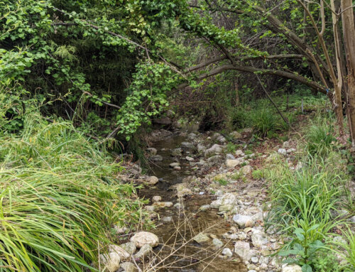 Espaces de bon fonctionnement (EBF) – Côtiers mentonnais