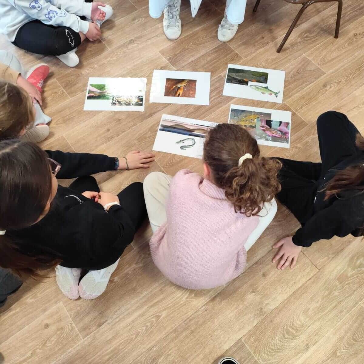 SENSI PIERREFEU 09 03 26