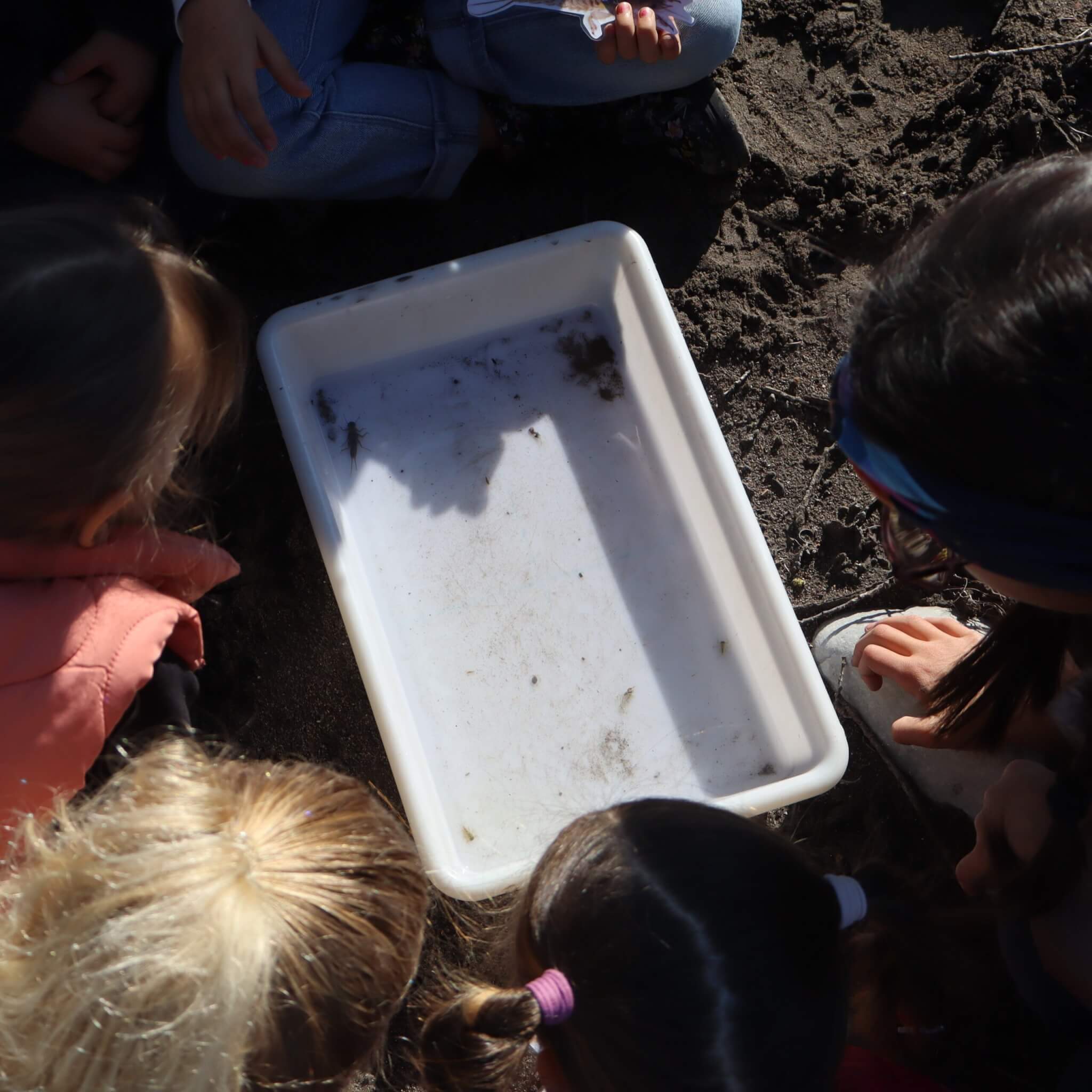 Sensi Touêt Sur Var