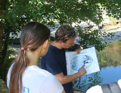 Journée de l’environnement : près de 200 élèves sensibilisés sur les berges de la Siagne