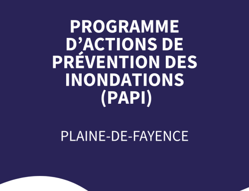 PAPI SIAGNE – Plaine de Fayence