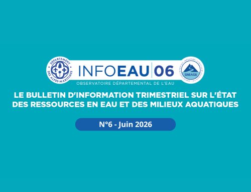 Bulletin Info eau : n°6 – juin 2026
