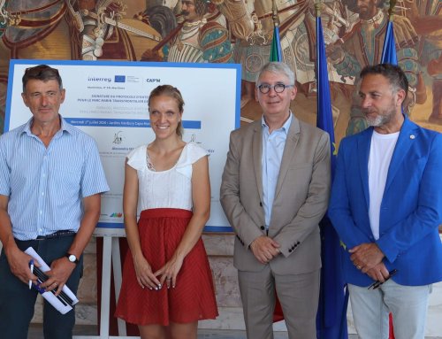 CAP’M : Deux ans de coopération au service d’un parc marin transfrontalier entre France et Italie
