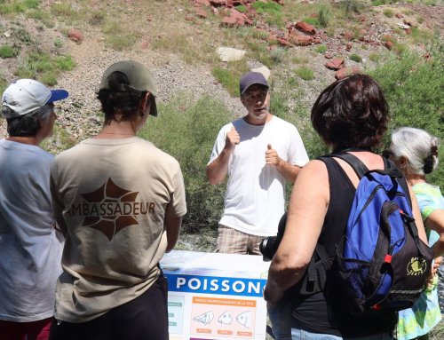 Rivières Sauvages : retour sur une saison estivale riche en actions