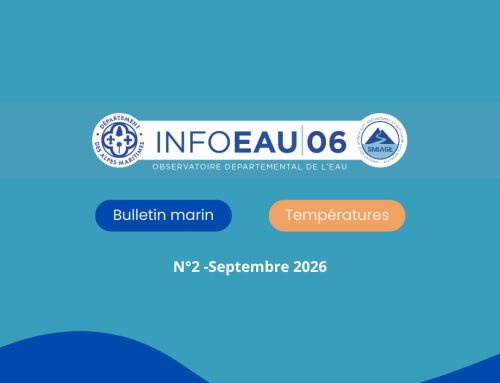 Info eau : n°2 – bulletin marin : un été marqué par la canicule